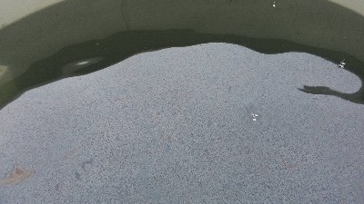 油田污水處理方法